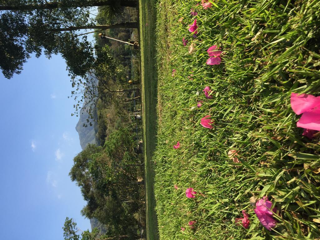 Shan Feng B&B Gukeng Bagian luar foto